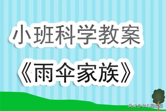 小班科学课教案《雨伞家族》含反思 